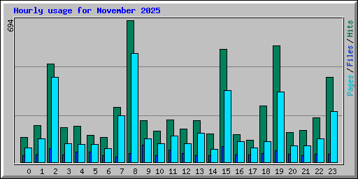 Hourly usage for November 2025