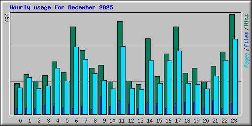 Hourly usage for December 2025