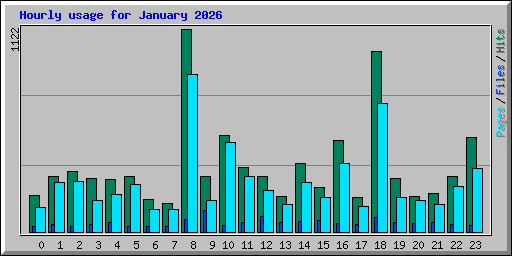 Hourly usage for January 2026